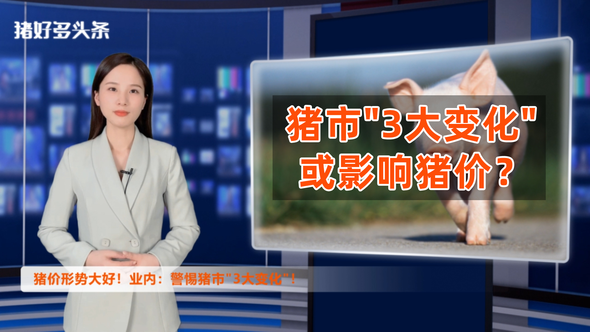 猪价形势大好！短期将达15元/斤？业内：警惕猪市“3大变化”