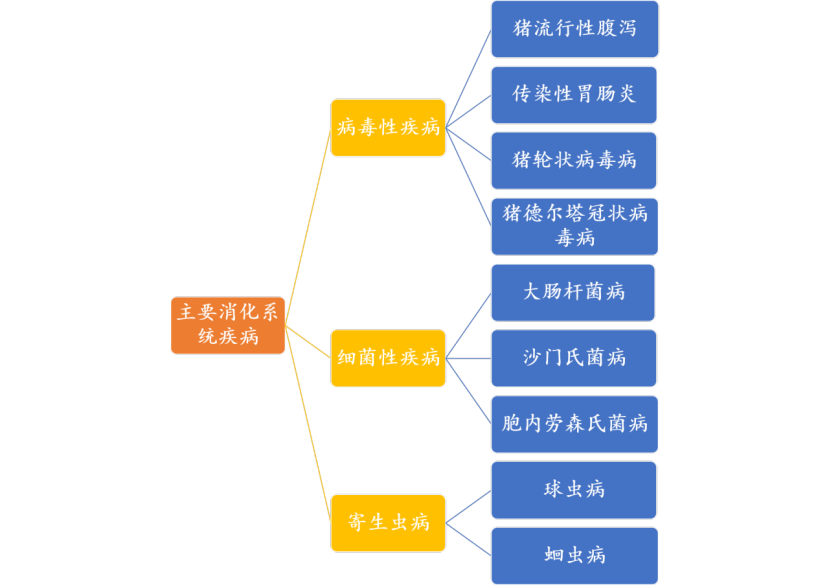 主要消化系统疾病