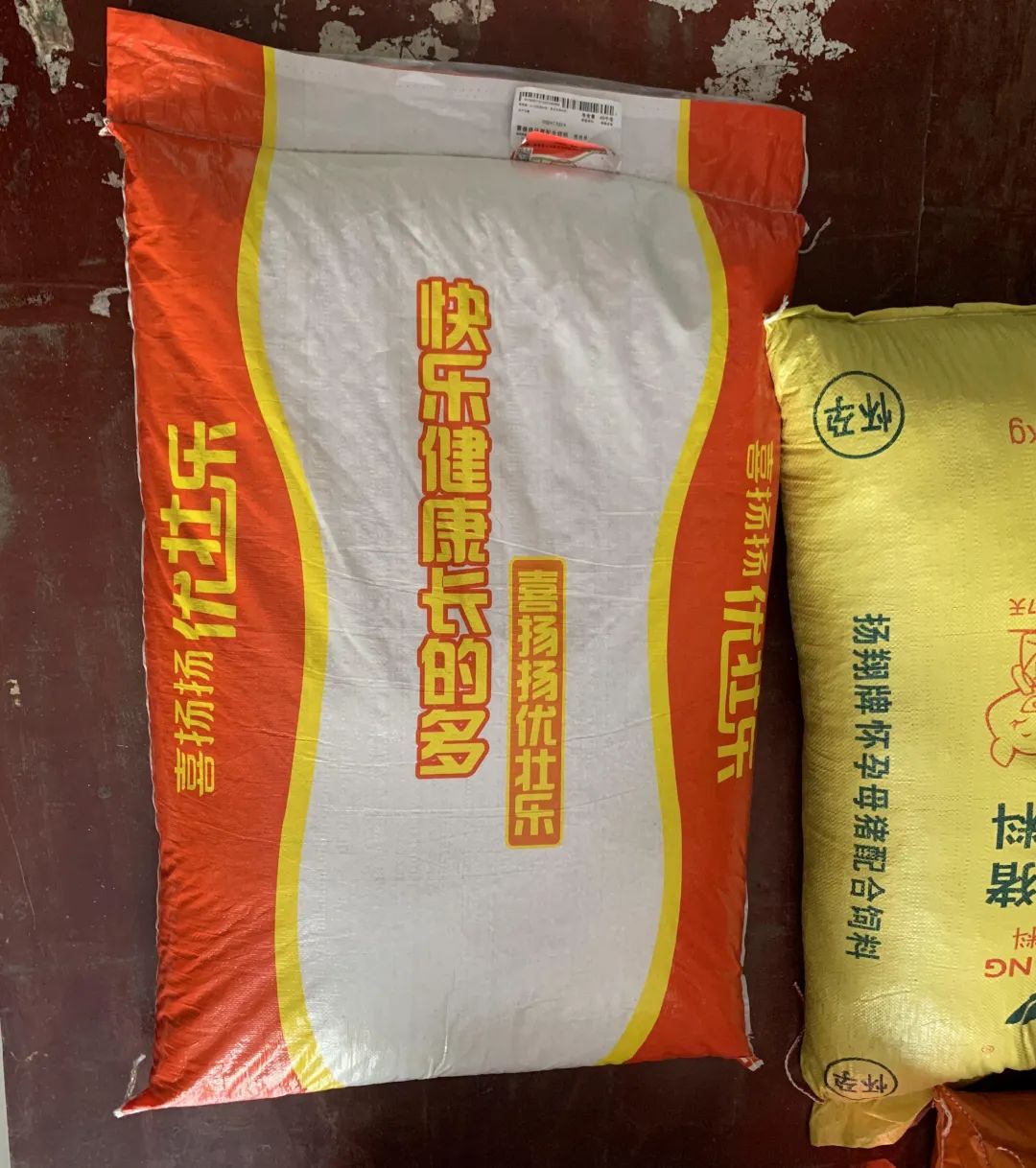 喜扬扬高档料
