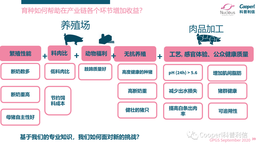 全产业链视角