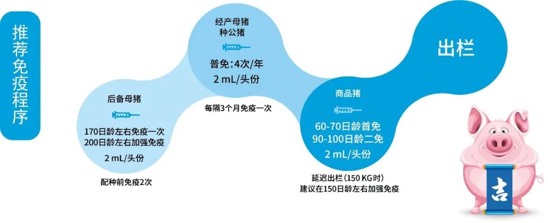 口蹄疫防控有“雷区”！如何避开雷区安全防控？