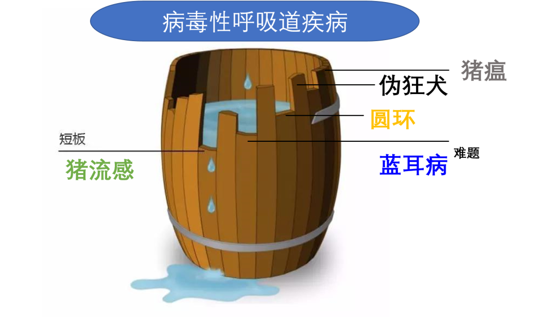 病毒性呼吸道疾病