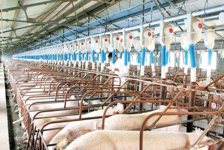 行业周报：猪价周环比大涨6.6%，兽药景气度明显回升！