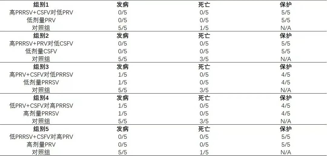 不同组别免疫干扰实验攻毒保护结果统计表