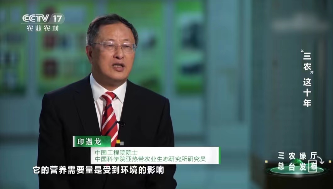 中国工程院院士印遇龙：加强生猪育种创新，不断降低料肉比