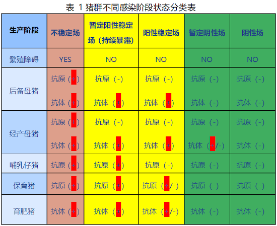 表1猪群不同感染阶段状态分类表