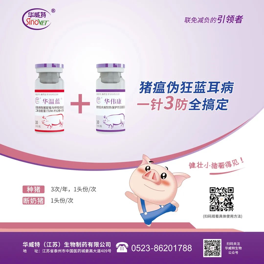 一针三防