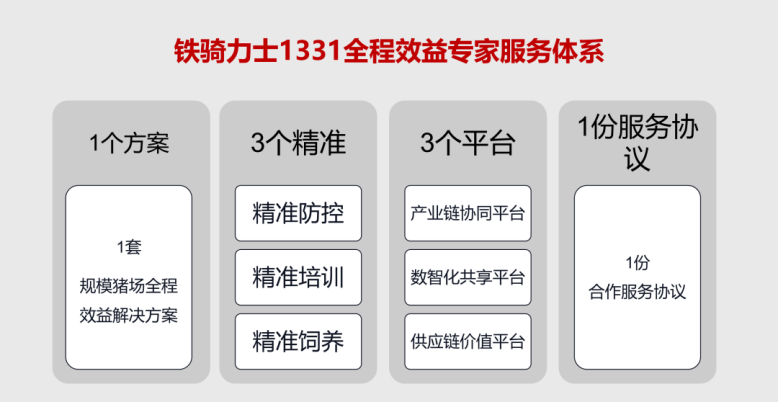 服务体系图