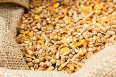 豆粕冲向6000元/吨大关，养猪人降本很难，每头猪成本或再增加100元