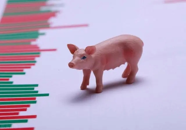 能繁母猪产能过剩5%，为何猪价还在上涨？国家采取了哪些措施？