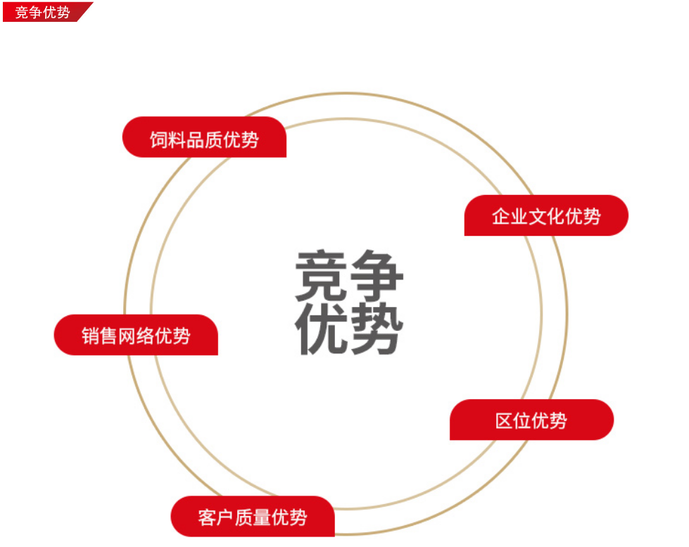竞争优势