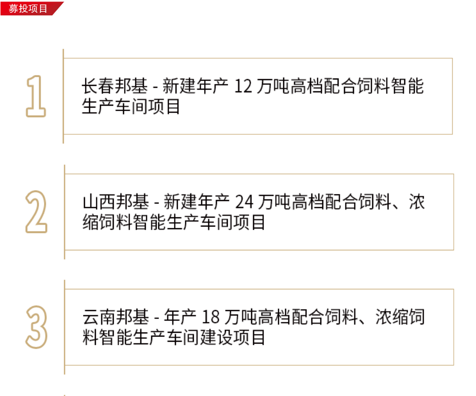 募投项目