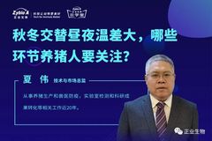 一线养殖专家答疑解惑！秋冬交替昼夜温差大，哪些环节养猪人要关注？