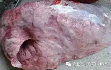 病理变化