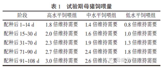 母猪饲喂量