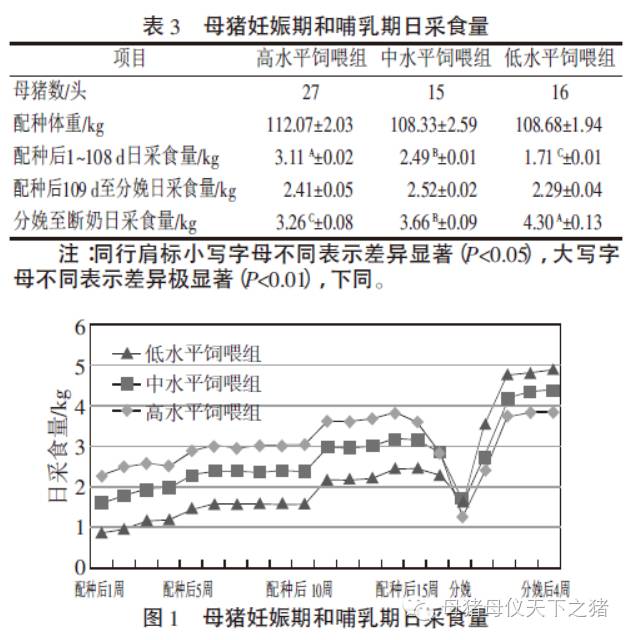 母猪妊娠期和哺乳期日采食量