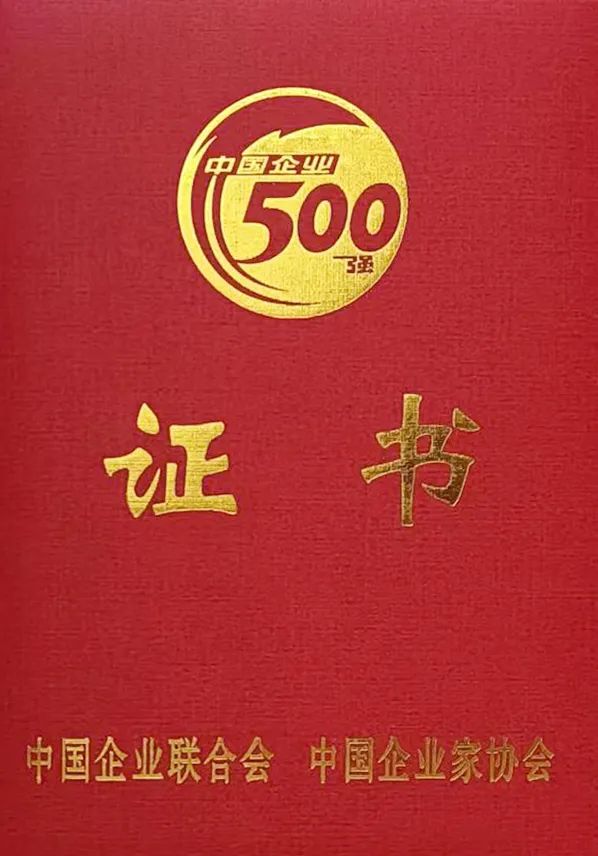 中国服务业企业500强证书