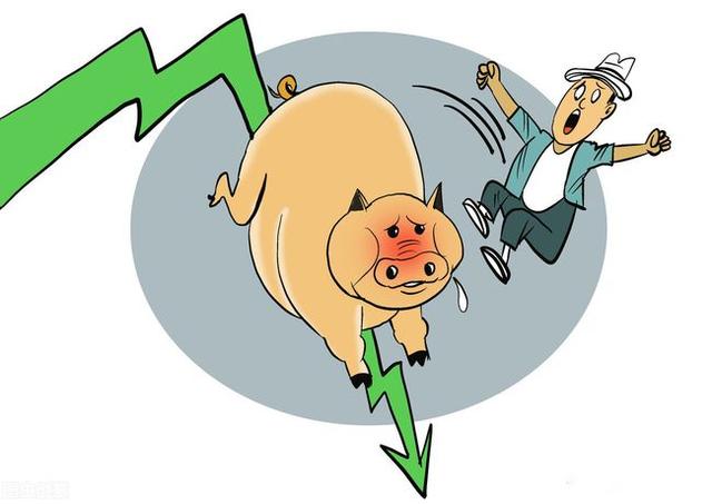 涨势坍塌，今日猪价上演“滑铁卢”，短期猪价或将延续波动偏弱的走势！