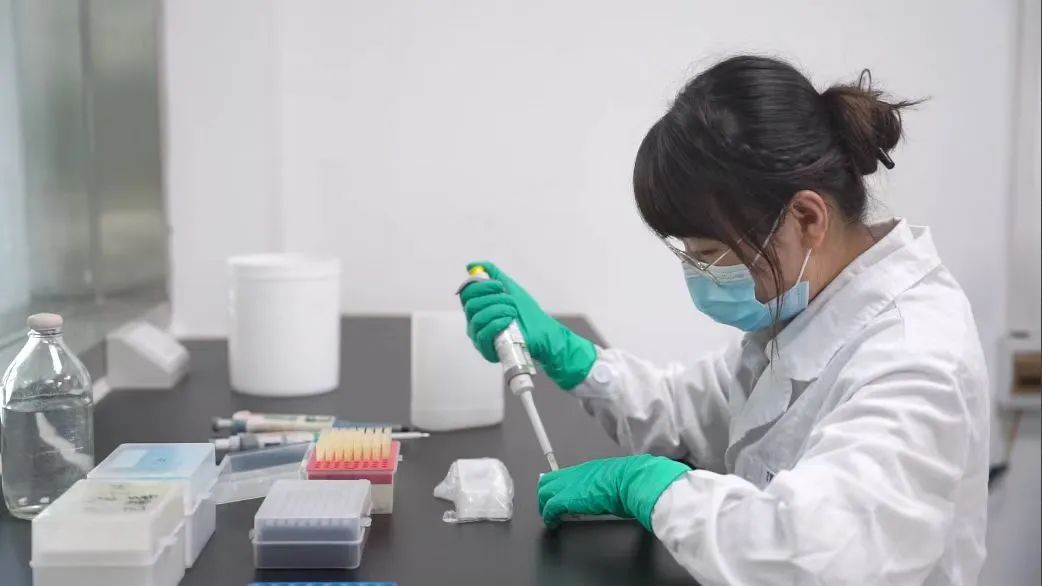 扬翔大舞台，有梦你就来！参加完一场硕博研究生交流会后，她被从猪场“抓来”做行政