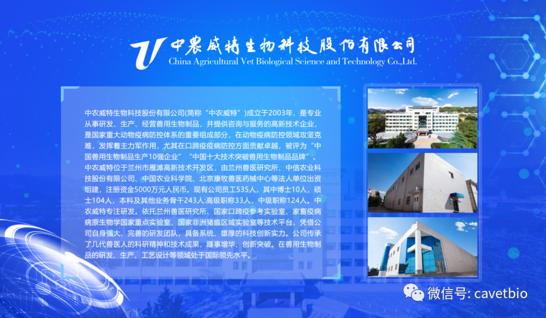 中农威特
