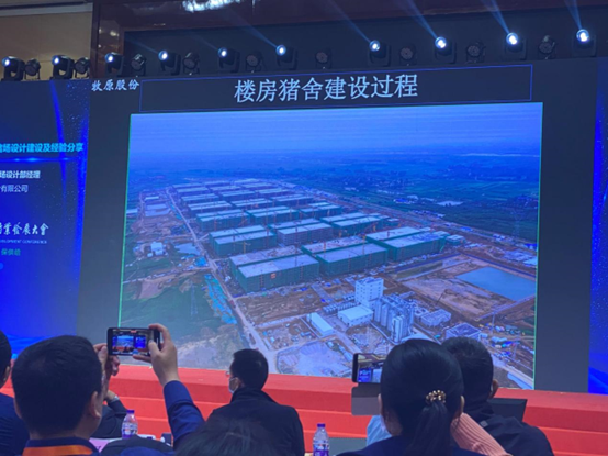 牧原股份分享楼房猪舍建设过程
