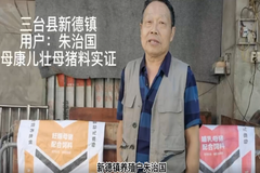 一窝12头，28日龄达到16.3斤！好行情，用好料，母康儿壮营养更可靠