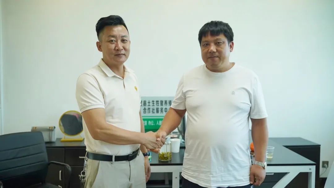 自养公猪近十年，千头规模猪场老板为什么把公猪都淘汰了？