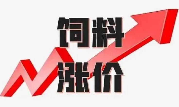 饲料涨价