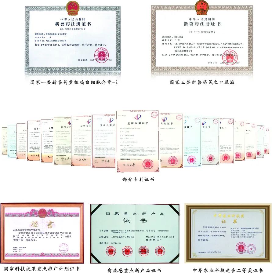 三仪集团荣誉证书