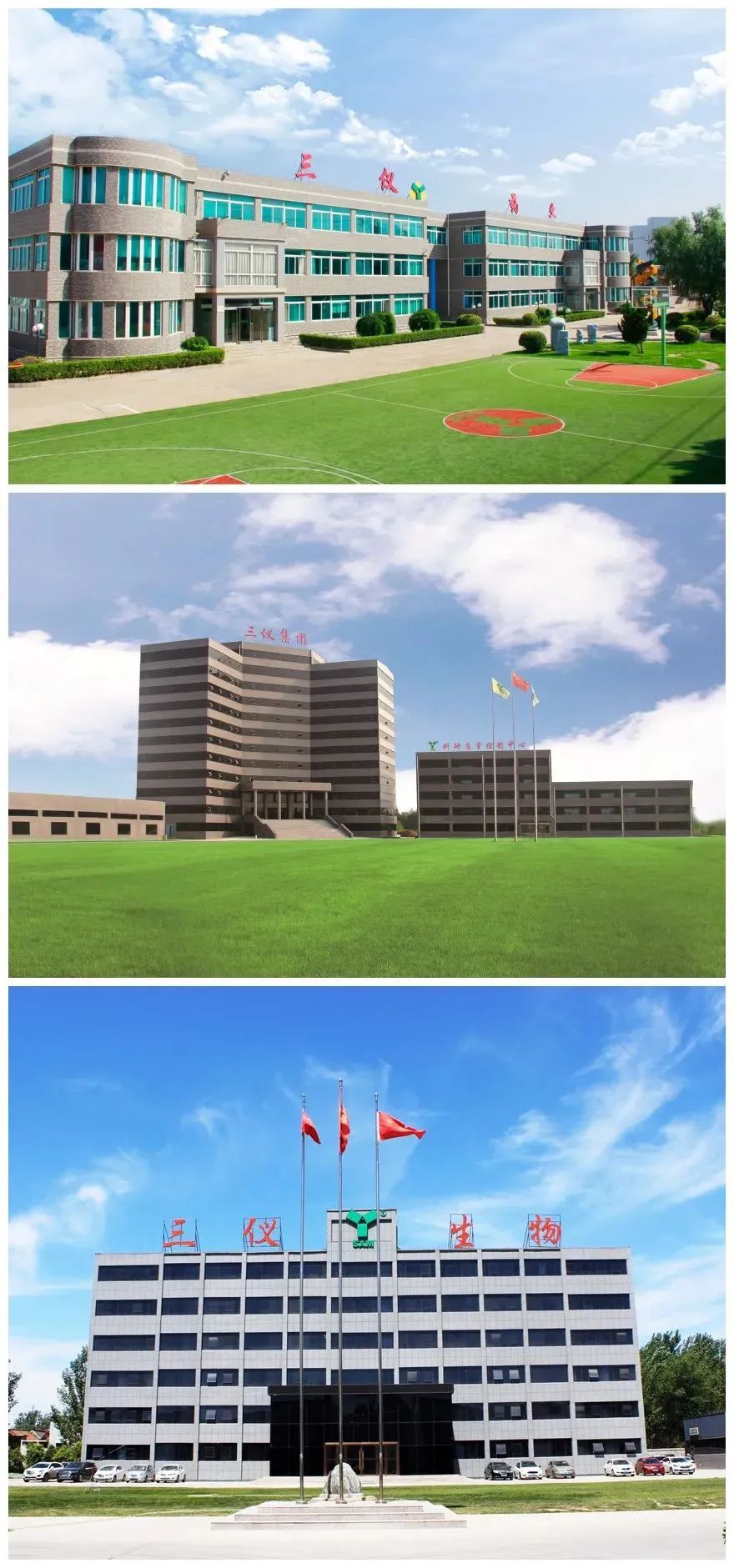 三仪集团