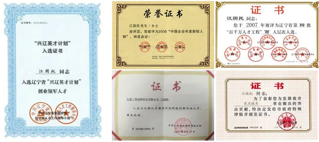 荣誉证书