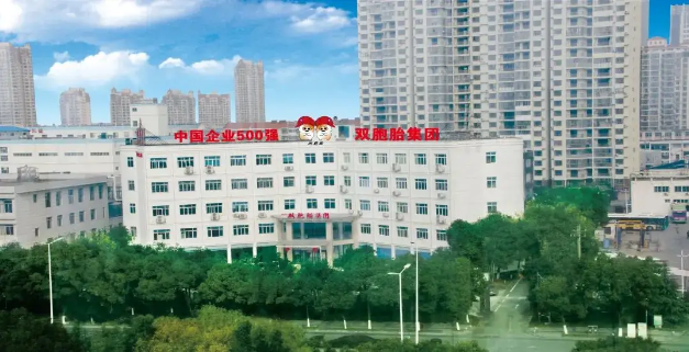 双胞胎