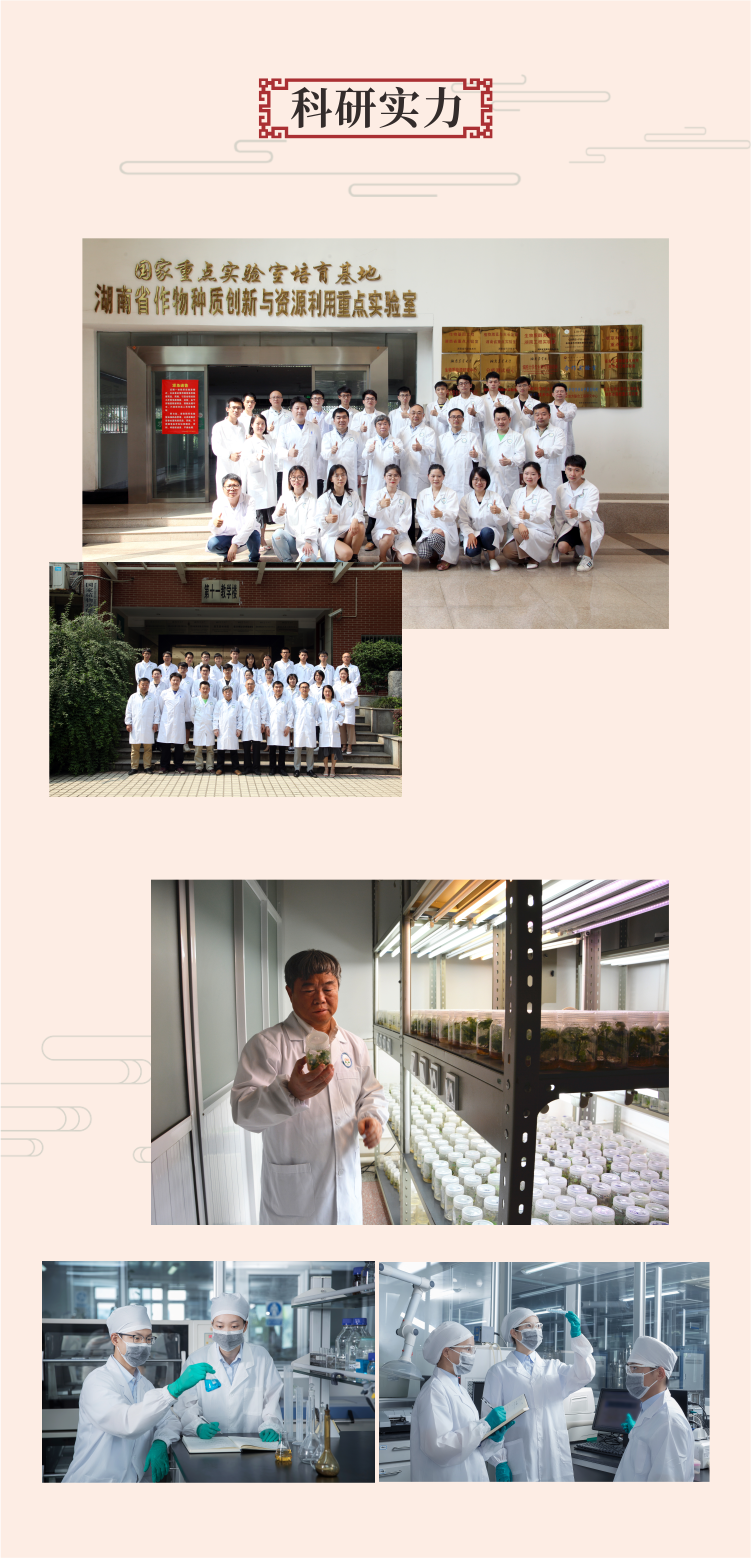 科研实力