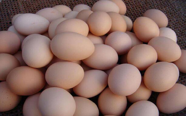 鸡蛋能治猪病？鸡蛋清可有效治疗猪流感、病毒性腹泻等