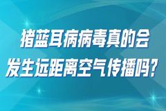 猪蓝耳病病毒真的会发生远距离空气传播吗？本文有答案