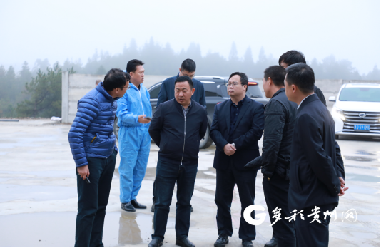 广州越秀集团黔南州生猪养殖基地首批309头种猪成功进场
