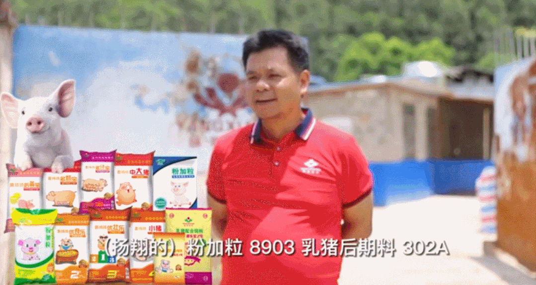 扬翔饲料