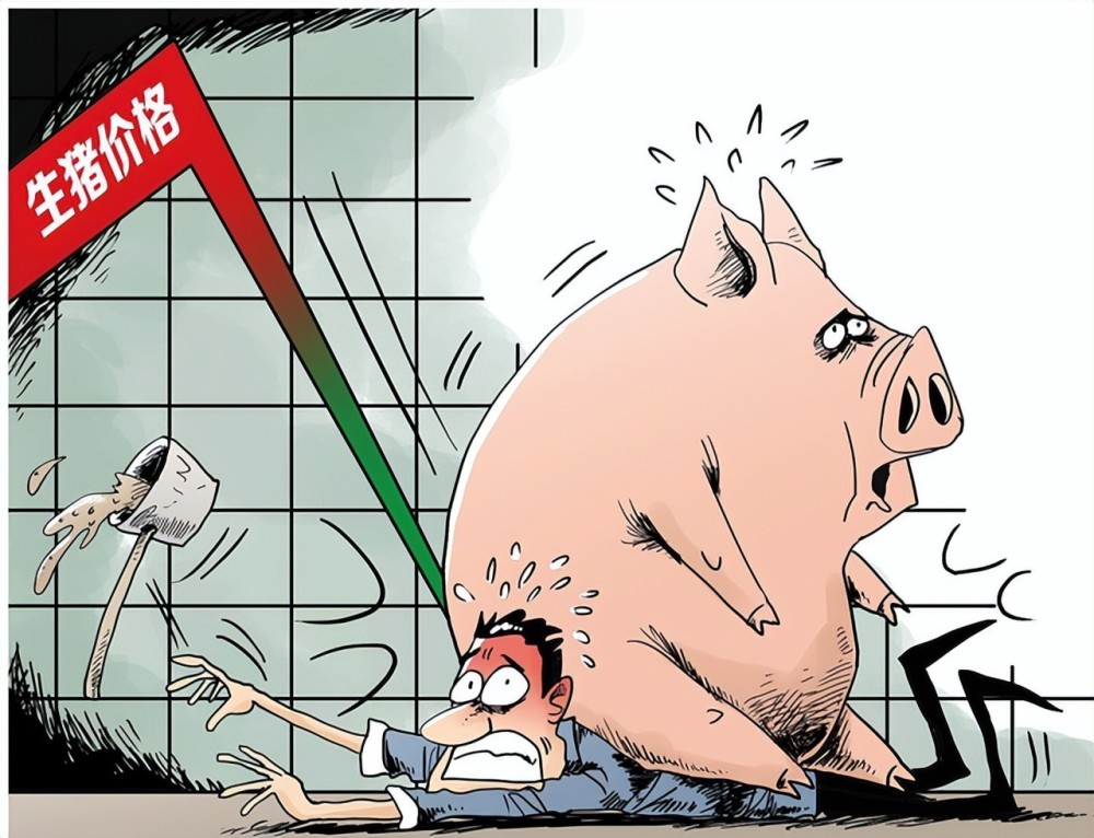 生豬價格