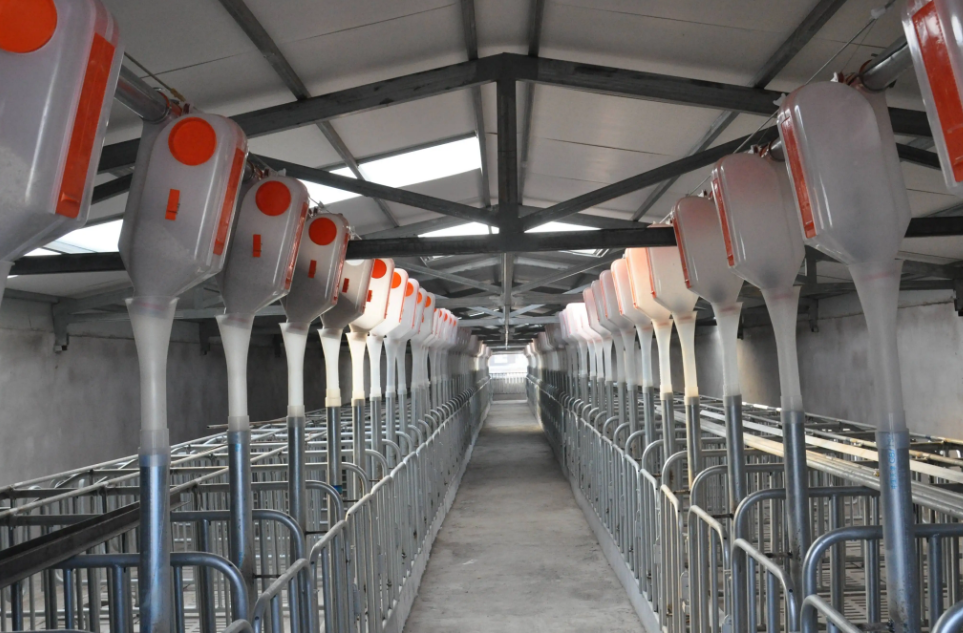 不同生长阶段猪使用不同栏位，猪场栏位系统都是如何区分的？