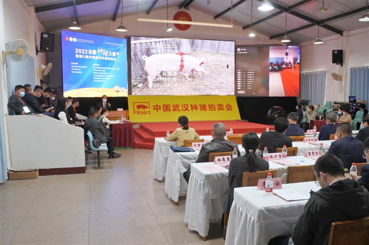中国武汉种猪拍卖大会