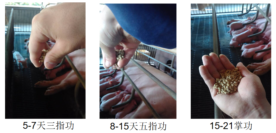 逐级加量、少量勤添