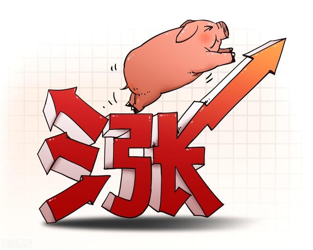 猪价上涨