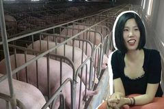 养猪的吸金能力究竟有多大？她从无奈抵押做到年出栏30000头生猪规模