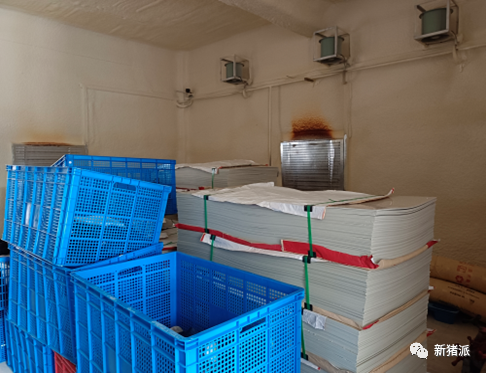 26层楼房猪场进猪！中新开维首席科学家称实现了超20项创新建设！