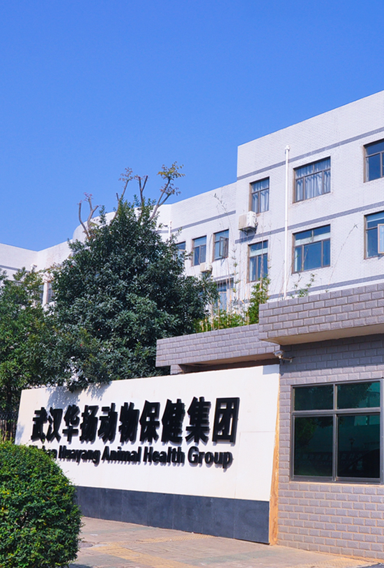 武汉华扬动物保健集团