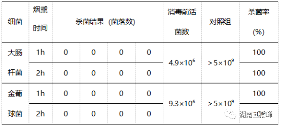 烟熏消毒威