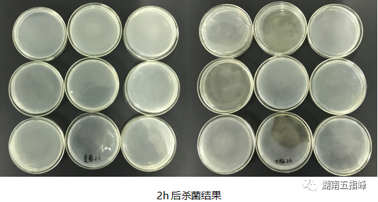 烟熏消毒威