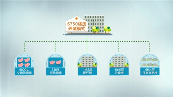 京基智农6750养殖模式示意图