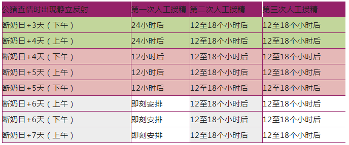 断奶母猪的人工授精配种方案