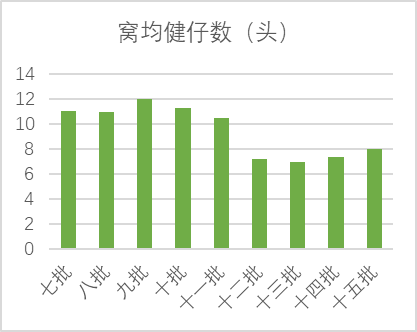 窝均健仔数